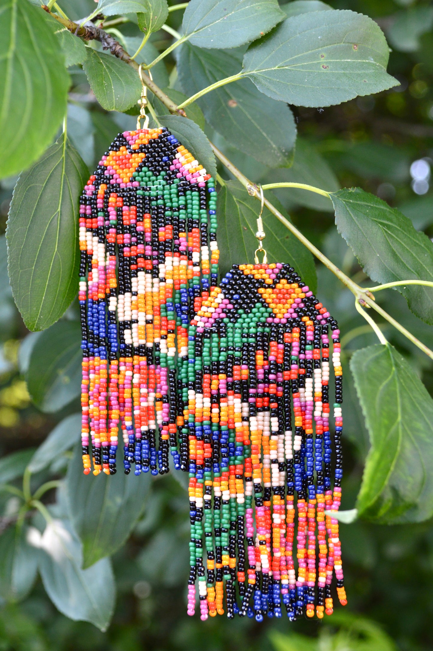 Flora
